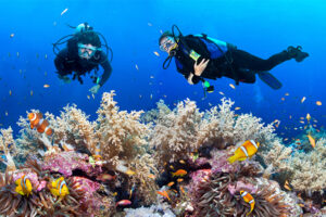 andamans_scuba_diving