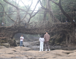 Meghalaya